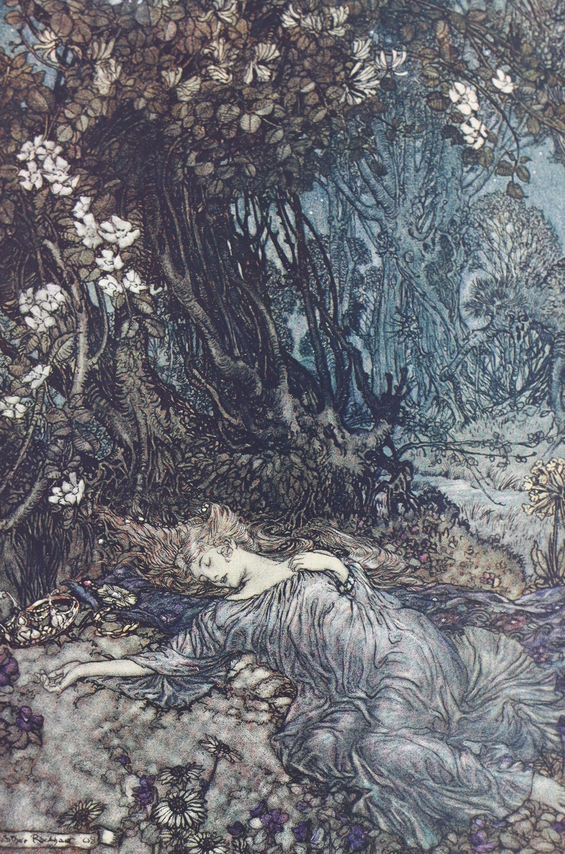 Rackham, Arthur (illustrator) - 4 works:- A Midsummer Night’s Dream, with 40 tipped-in colour plates, 1908, Book of Pictures, 1913; Undine, 1920 and Little Brother & Little Suster, 1917, all 4to, cloth bound.